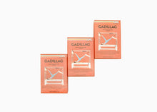Load image into Gallery viewer, Lesley Logan's Cadillac Flashcards for Pilates Practice