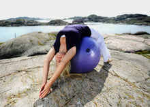 Load image into Gallery viewer, SISSEL Securemax Ball, inuse product photo