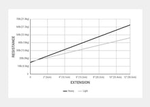 Load image into Gallery viewer, | caption::Chair Springs Resistance Chart
