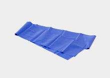 Load image into Gallery viewer, blue latex free exercise band | caption::Heavy Resistance
