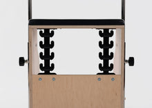 Load image into Gallery viewer, Cactus retrofit kit installed on a Combo Chair. | caption::Cactus installed on Combo Chair.
