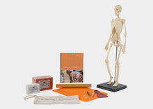 Load image into Gallery viewer, Anatomy Complete Build Kit for comprehensive anatomical studies.
